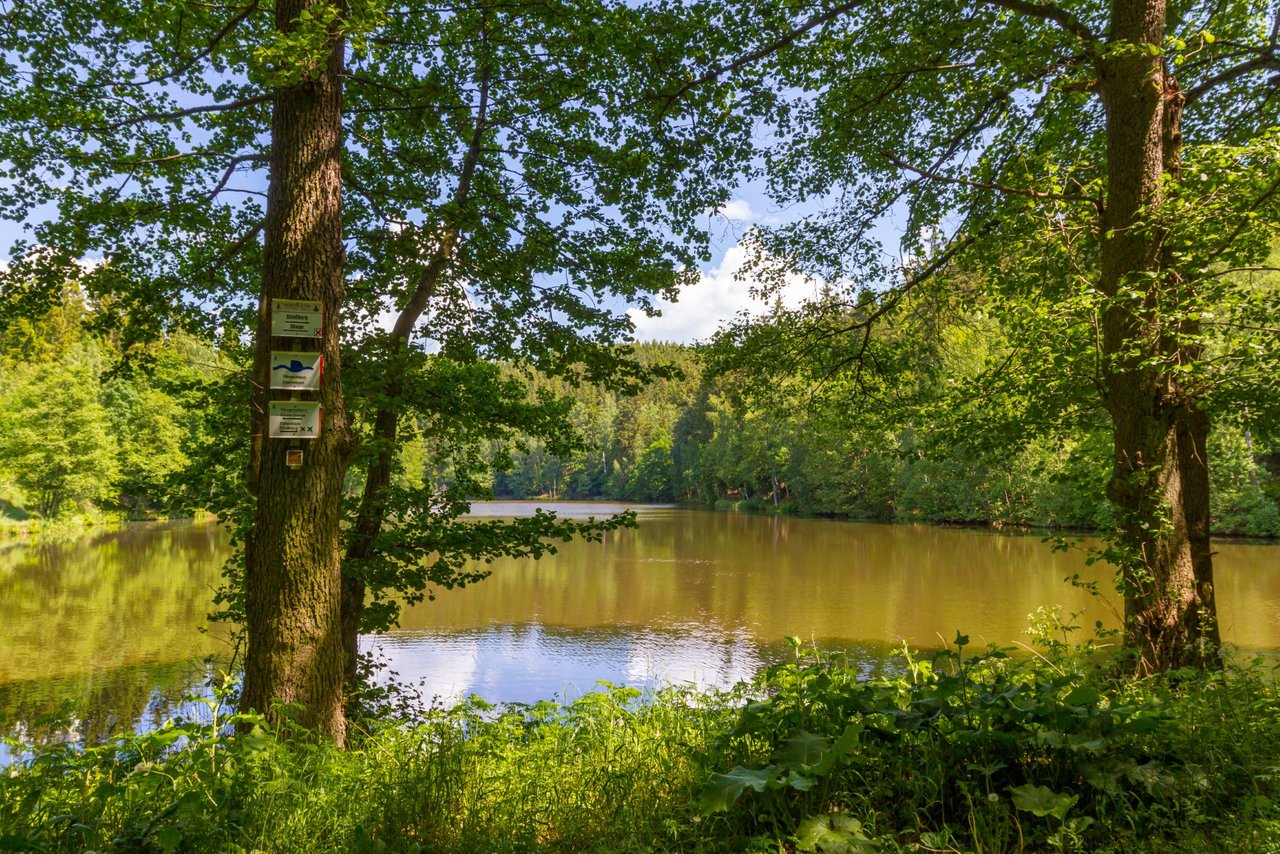 Selketal Oberharz wandern