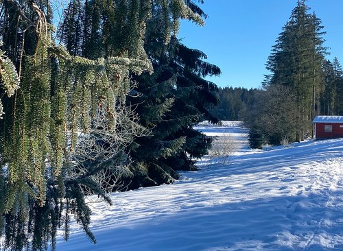 Winterliche Landschaft mit kleiner roten Hütten im Hintergrund bei sonnigem Wetter