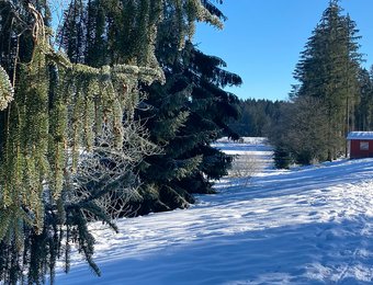 Winterliche Landschaft mit kleiner roten Hütten im Hintergrund bei sonnigem Wetter
