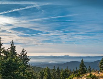 Blick mit Bäumen ins Land