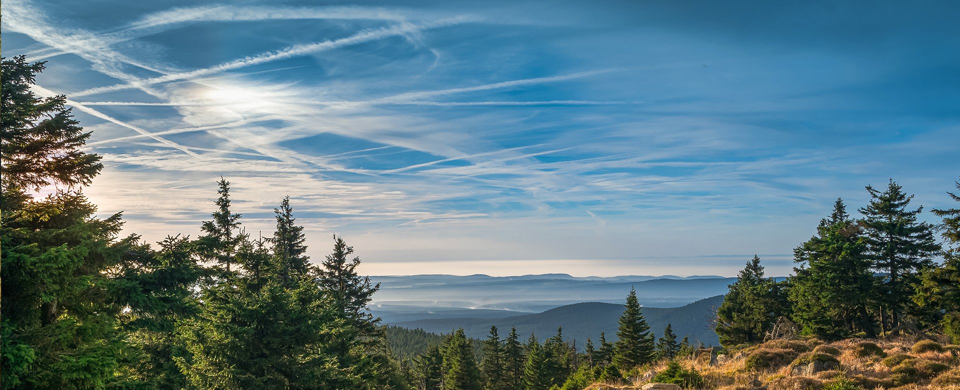 Blick mit Bäumen ins Land