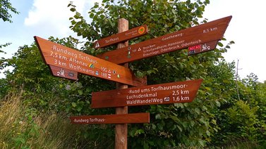 Wegweiser im Nationalpark Harz