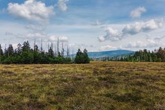wandern Oberharz Natur