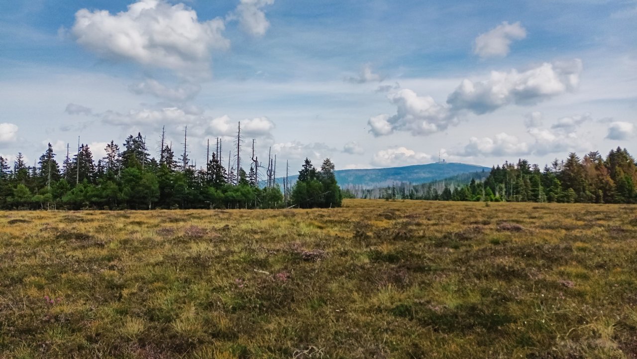 wandern Oberharz Natur