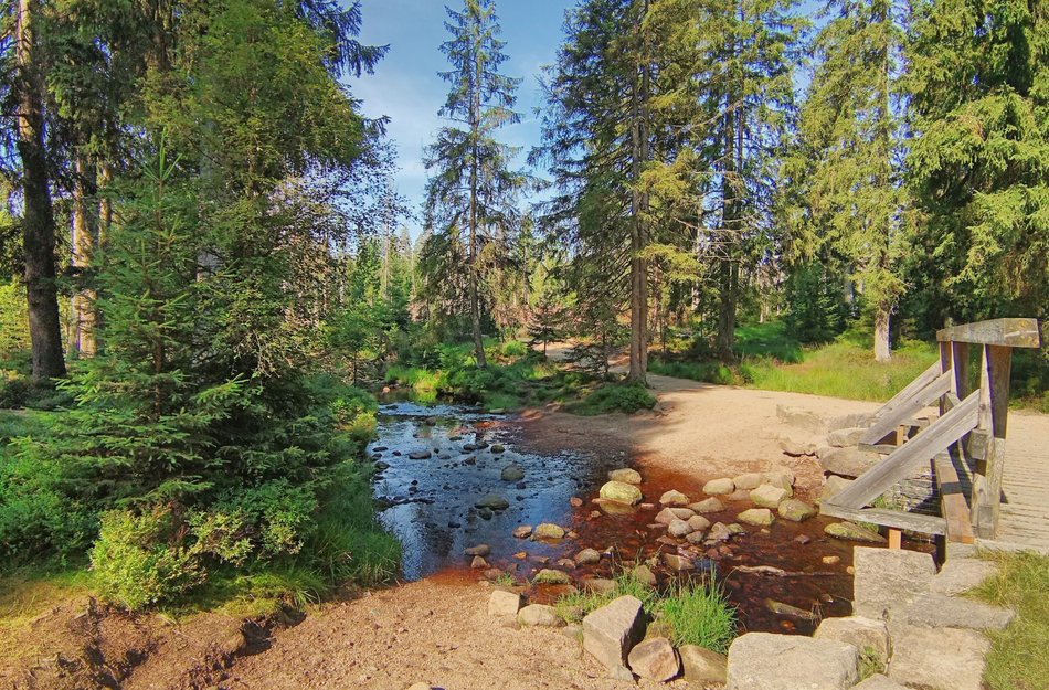 Bach Oberharz Oderteich wandern