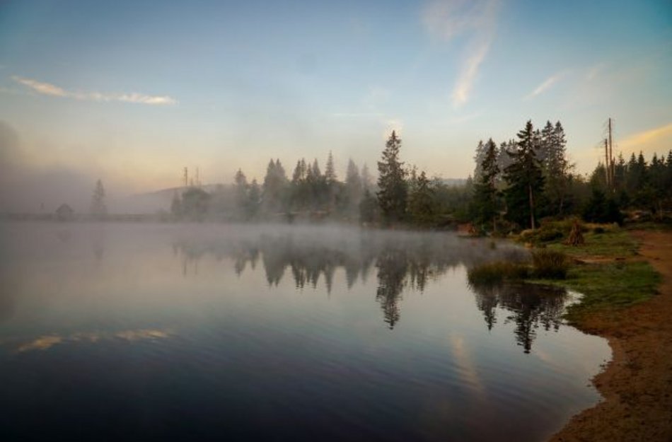 Der Oderteich im Nebel