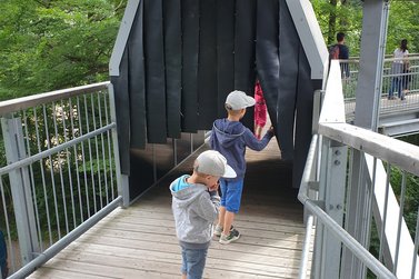 Kinder laufen durch einen halb verdeckten Tunnel auf dem Baumwipfelpfad