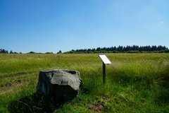 Findling vor einer Wiese mit Schild