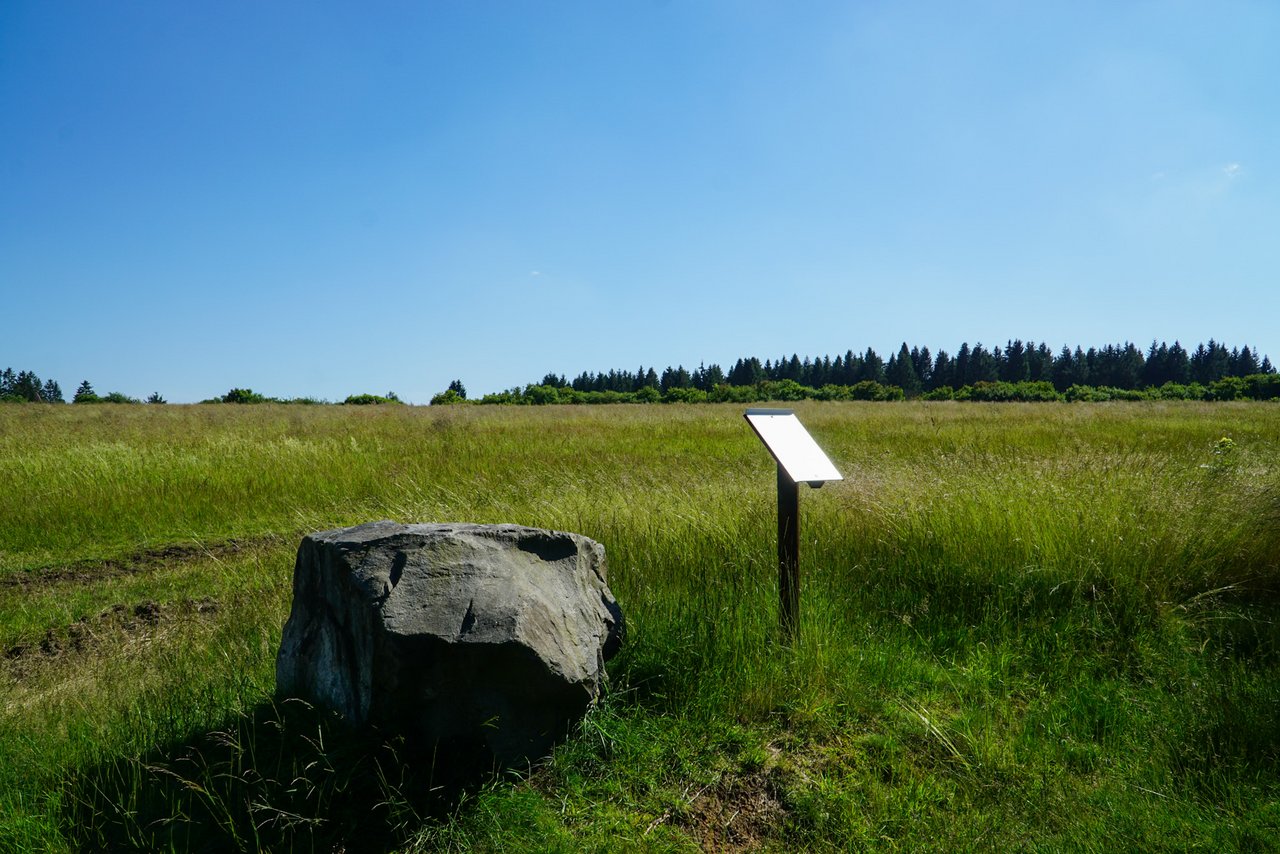 Findling vor einer Wiese mit Schild