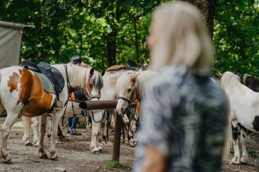 Frau geht zu Pferden mit Reitausrüstung 