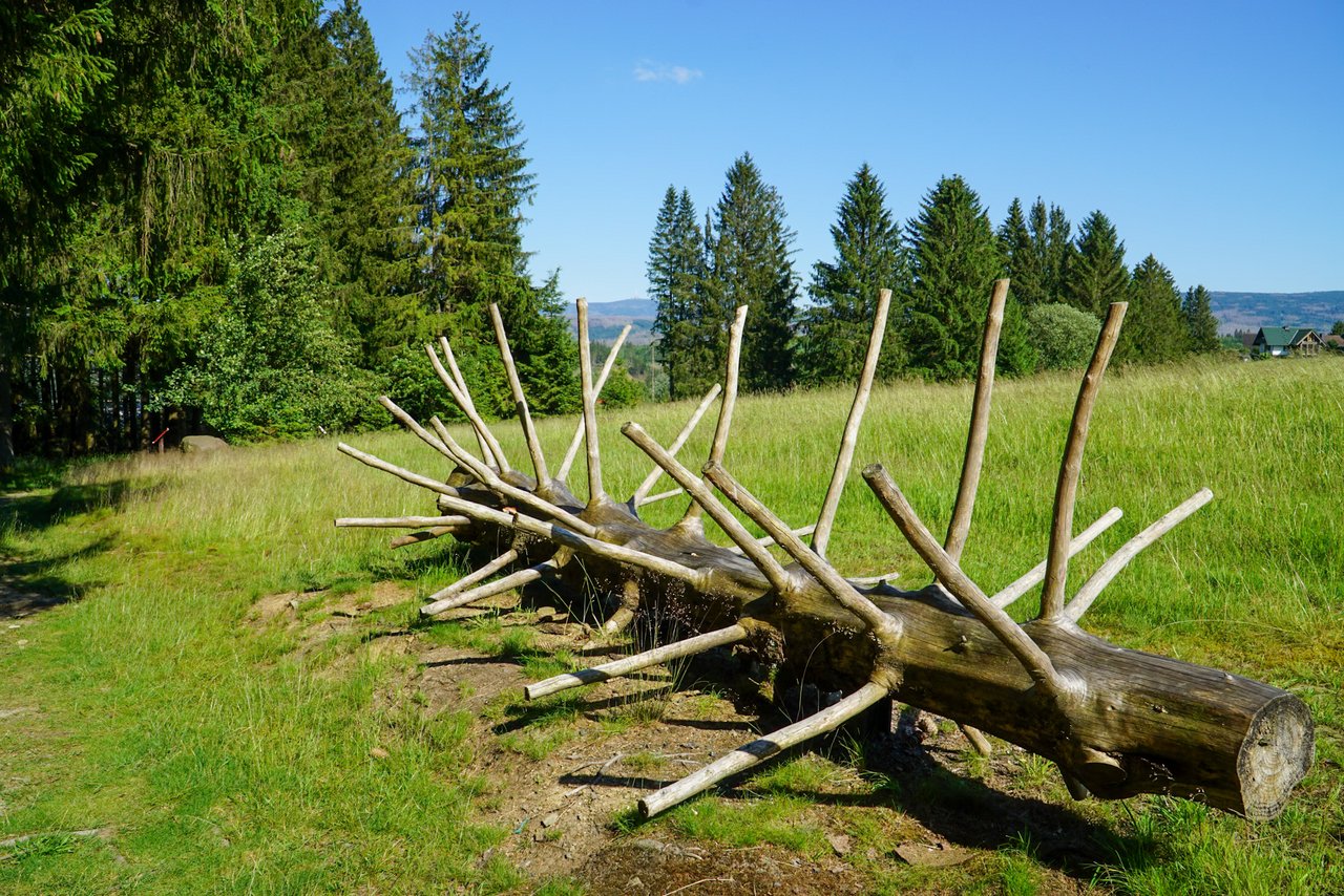 Holzstamm