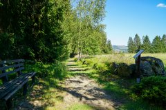 Natur mit Weg 