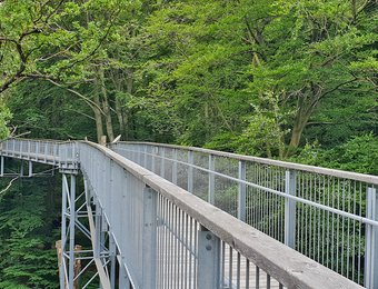 Blick auf einen Weg des Baumwipfelpfads in Bad Harzburg