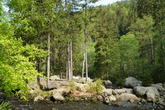 Oberharz Baudensteig wandern Wald