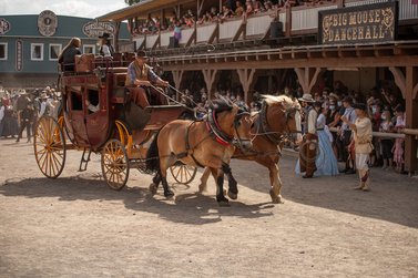 Kutsche mit Pferden in Pullman City