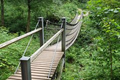 Blick auf die Hängebrücke im Weltwald Harz