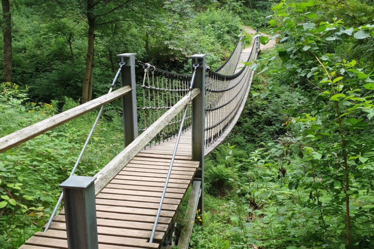 Blick auf die Hängebrücke im Weltwald Harz