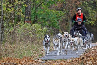 Schlittenhunde ziehen Musher auf Wagen 