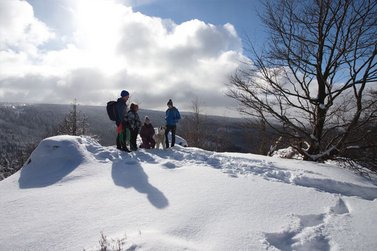 Familie steht mit einem Hund auf einer Schneebedeckten Bergkuppe mit Weitblick
