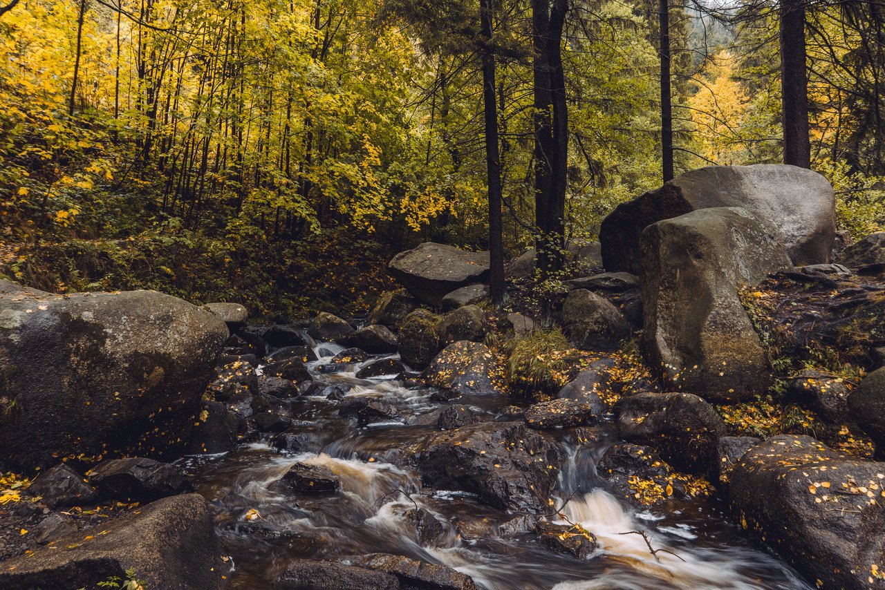 Selketal Oberharz Wald wandern
