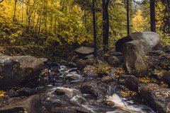 Selketal Oberharz Wald wandern