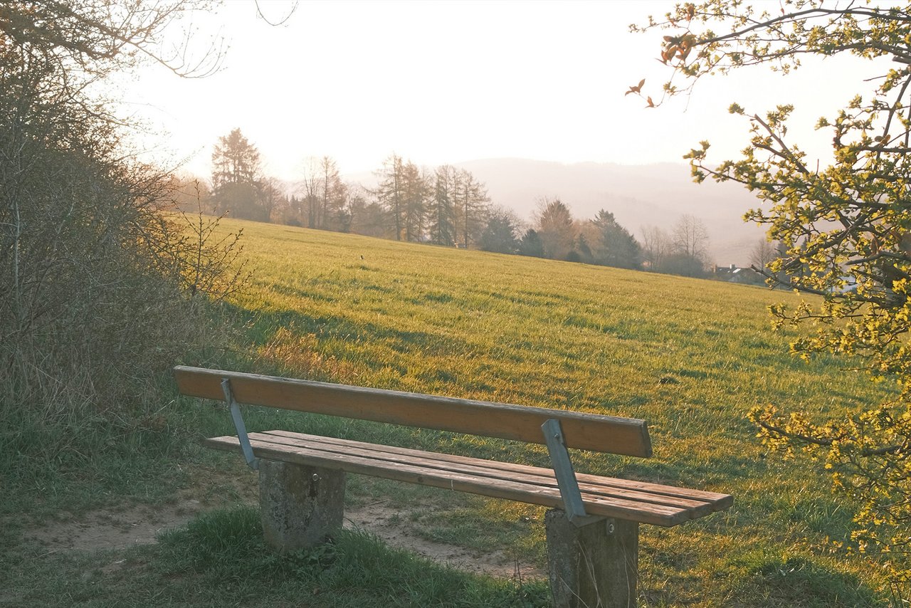 Blick auf eine Bank vor einer Bergwiese mit Nebel