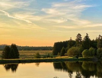 Der Ziegenberger Teich bei Sonnenuntergang