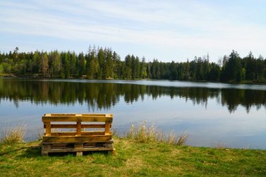 Einfache Holzbank steht auf einer Wiese am Ufer eines stillen Sees, dahinter Nadelwald.