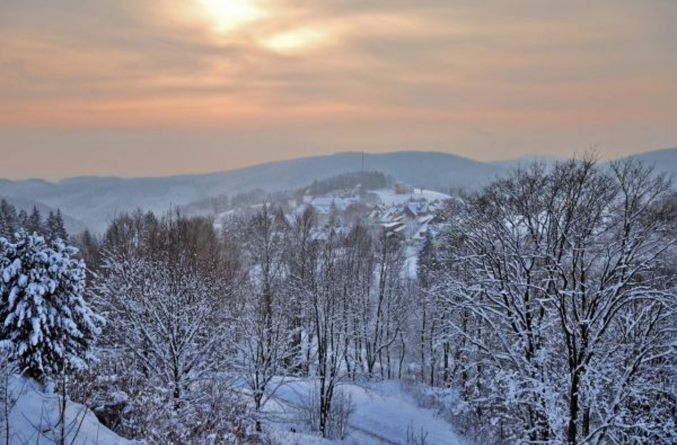 Blick auf verschneiten Winterwald
