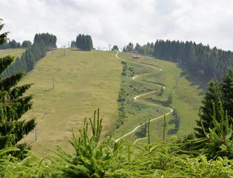 Blick auf Sommerrodelbahn am Matthias-Schmidt-Berg 