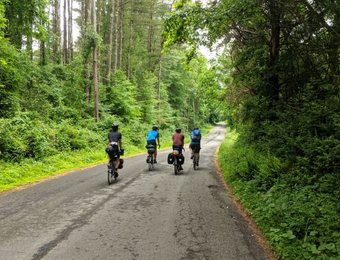 4 Radfahrer fotografiert von hinten wie sie einen Weg durch einen Wald entlang fahren