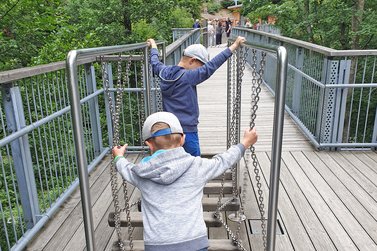 Kinder gehen über Hindernisparcours auf dem Baumwipfelpfad
