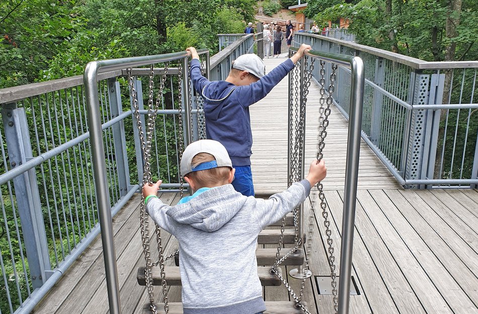 Treetop Walk Bad Harzburg Oberharz