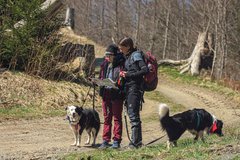 Teilnehmer stehen mit Hunden und schauen in eine Karte 