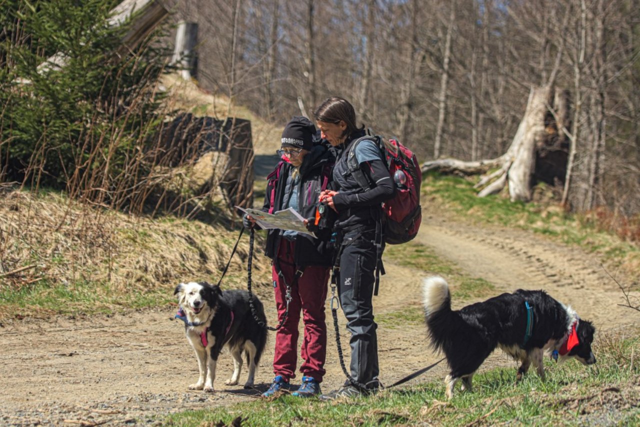 Teilnehmer stehen mit Hunden und schauen in eine Karte 