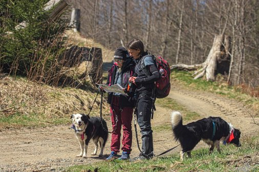 Teilnehmer stehen mit Hunden und schauen in eine Karte 