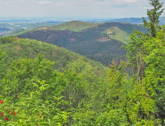 Blick vom Ravensberg Richtung Bad Lauterberg