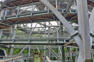 Aufgang auf die Aussichtsplatform des Baumwipfelpfads