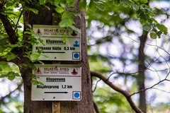 Selketal Oberharz Wegweiser wandern