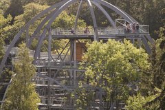 Aufnahme des Aussichtsturms des Baumwipfelpfads