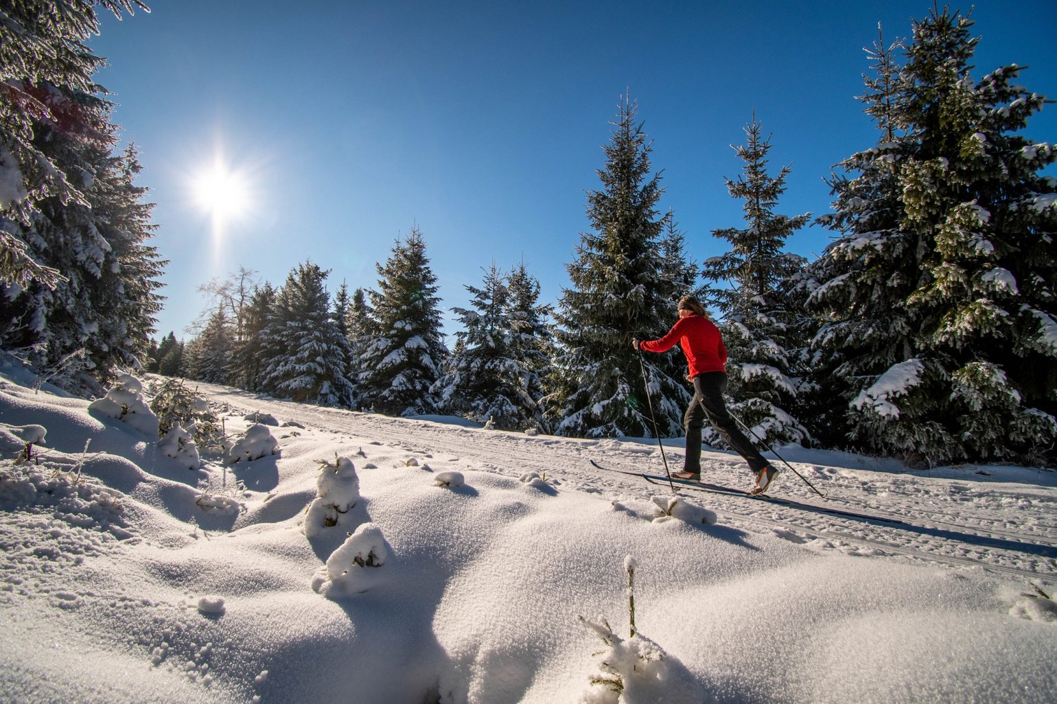 Harz Langlauf Winter