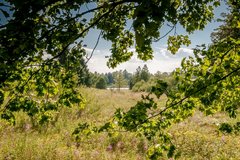 Oberharz Karstwanderweg Natur wandern