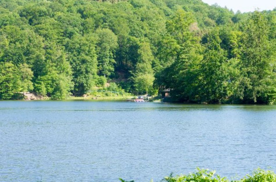 Der Wiesenbeker Teich im Sommer