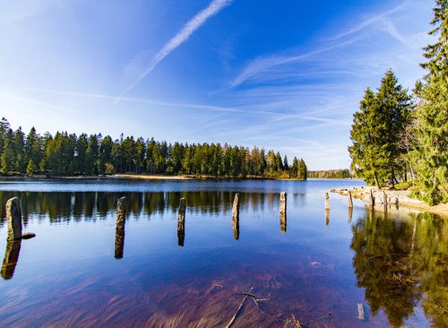 Wasser Landschaft mit Nadelwald drumherum bei klarem sonnigen Wetter