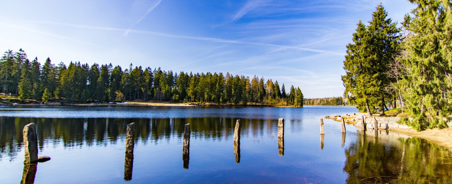Wasser Landschaft mit Nadelwald drumherum bei klarem sonnigen Wetter