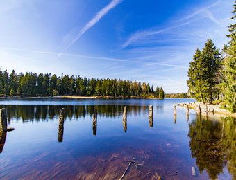Wasser Landschaft mit Nadelwald drumherum bei klarem sonnigen Wetter