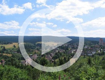 Vorschaubild der Webcam auf Torfhaus