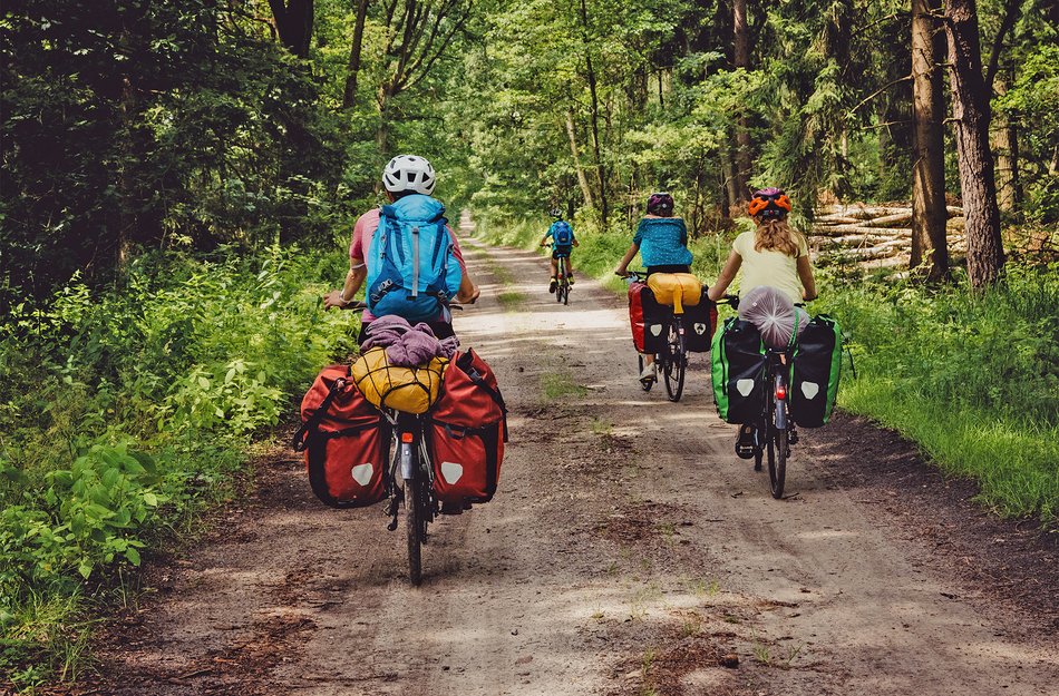 Radtour Wald Oberharz