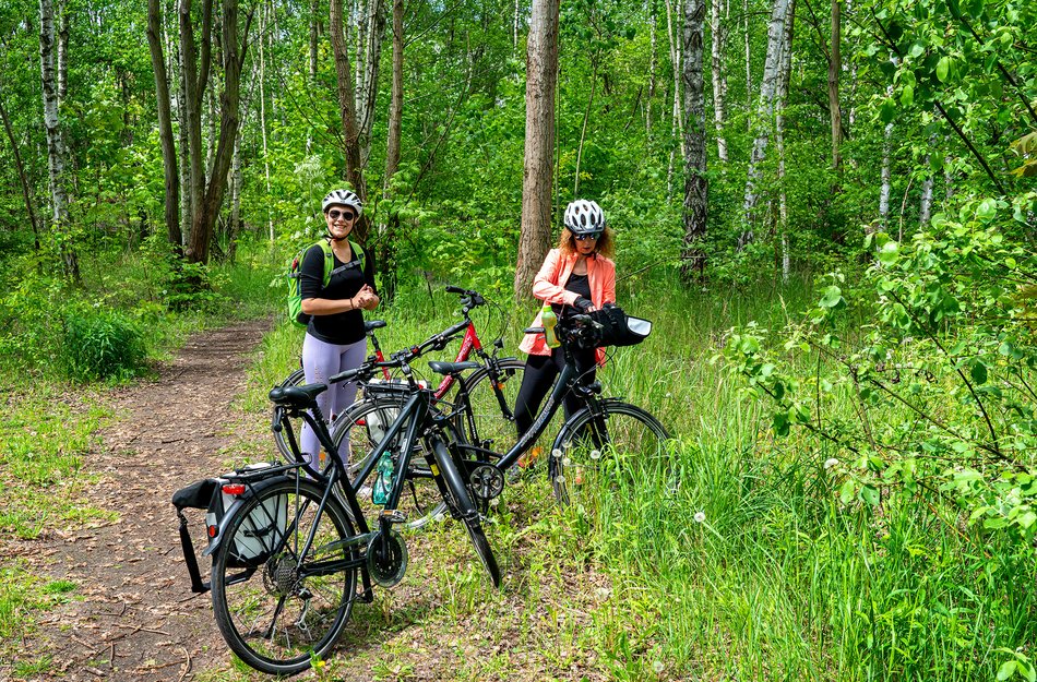 Radtour Wald Oberharz